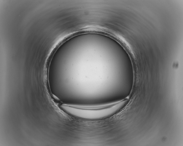 X0000094921376200712201210