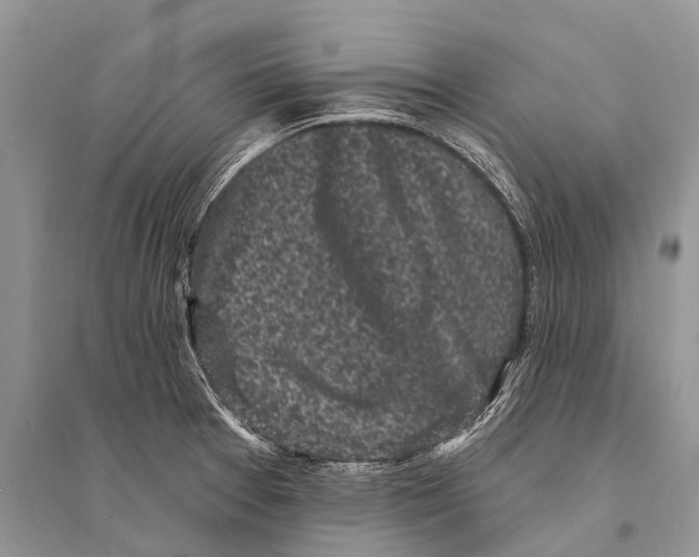 X0000094921377200712201210