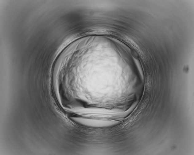 X0000094921378200712201210