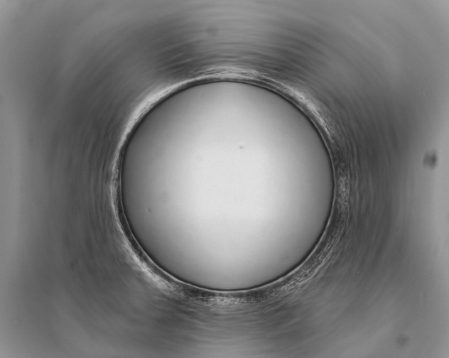 X0000094921379200712201210