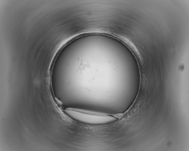 X0000094921380200712201210