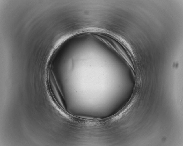 X0000094921381200712201210