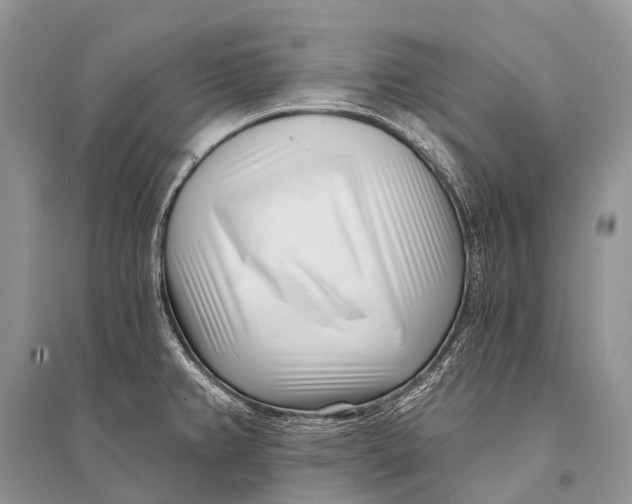 X0000094921382200712201210