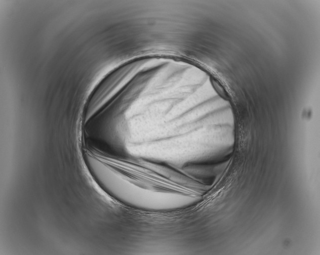 X0000094921383200712201210