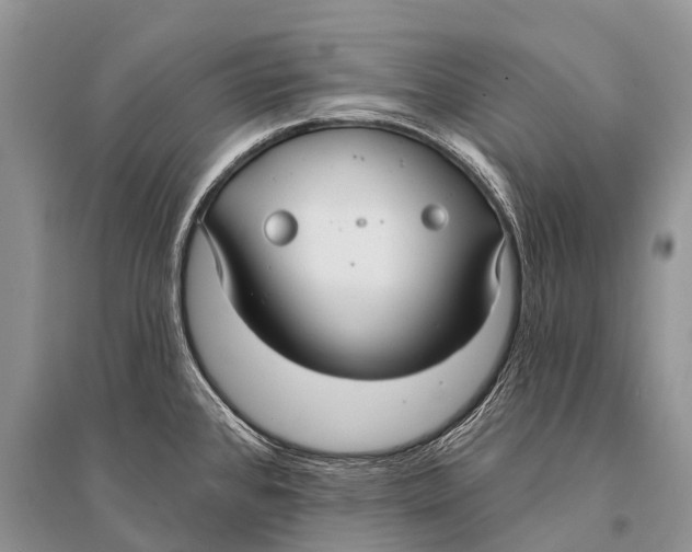 X0000094921384200712201210