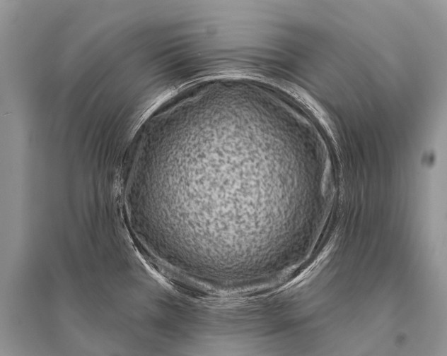 X0000094921385200712201210