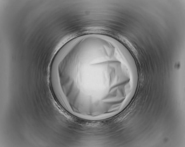 X0000094921386200712201210