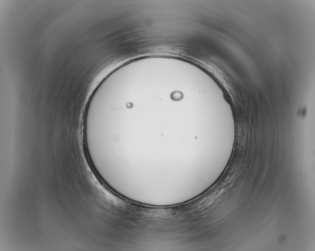 X0000094921387200712201210