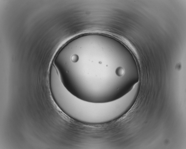 X0000094921388200712201210