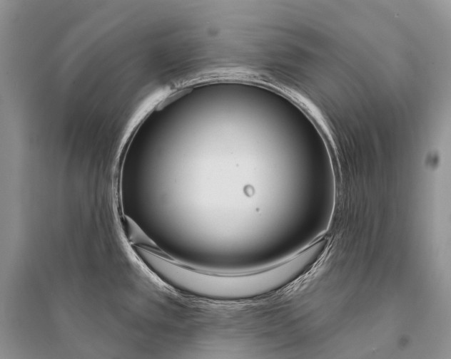 X0000094921389200712201210