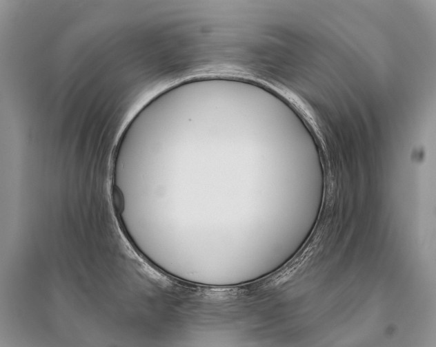 X0000094921390200712201210