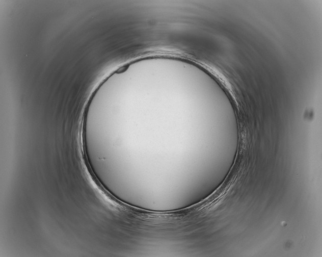 X0000094921391200712201210