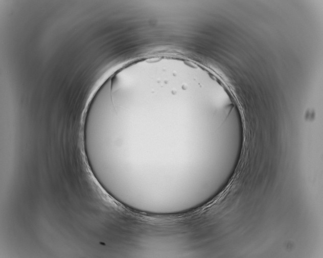 X0000094921392200712201210