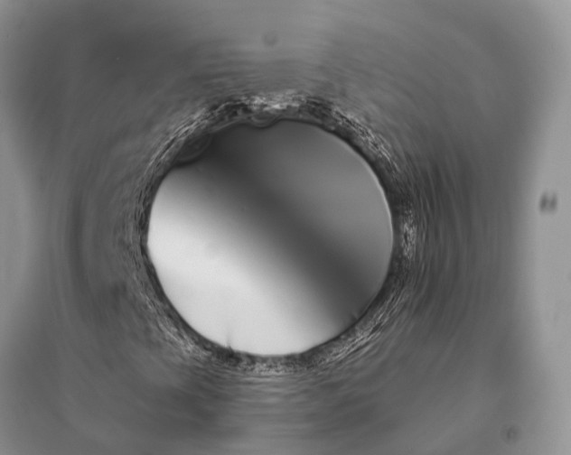 X0000094921393200712201209