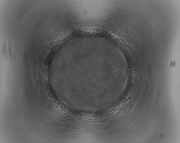 X0000094921394200712201209