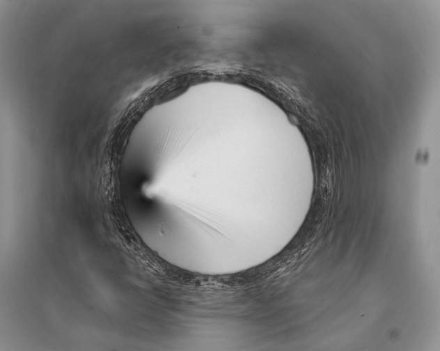 X0000094921398200712201209