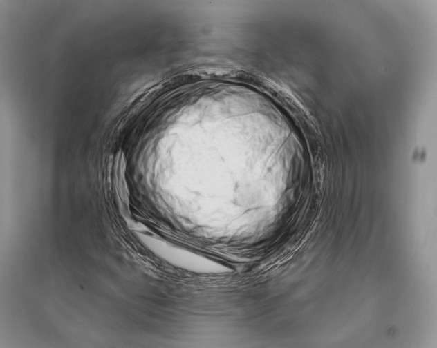 X0000094921399200712201209