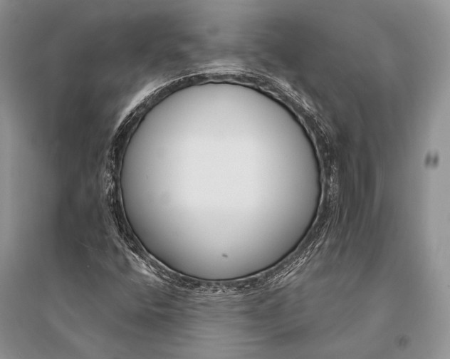 X0000094921400200712201209