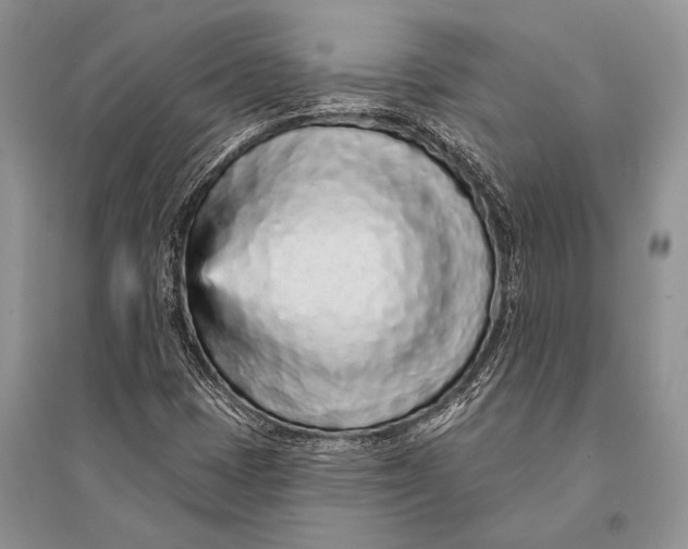 X0000094921401200712201209