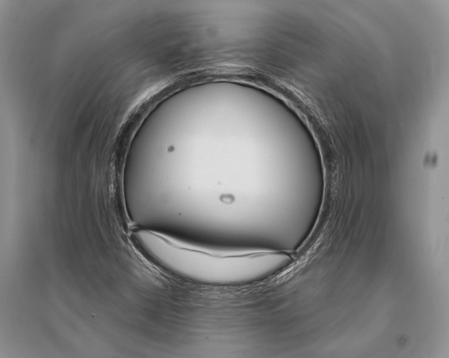 X0000094921402200712201209