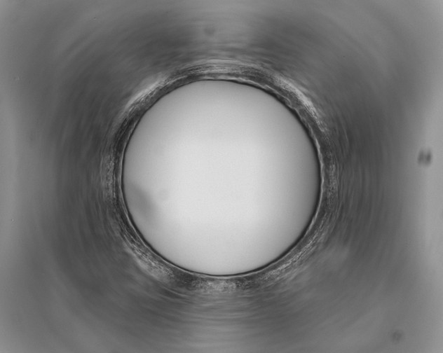 X0000094921403200712201209