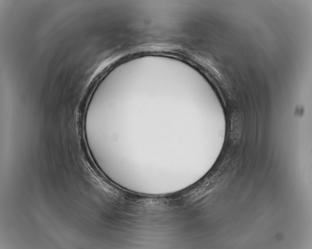 X0000094921404200712201209