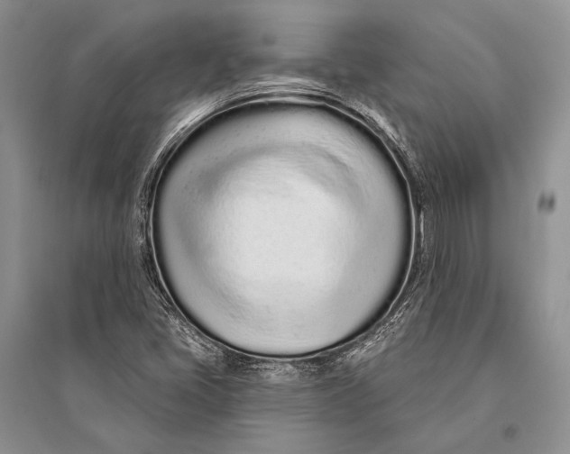 X0000094921405200712201209