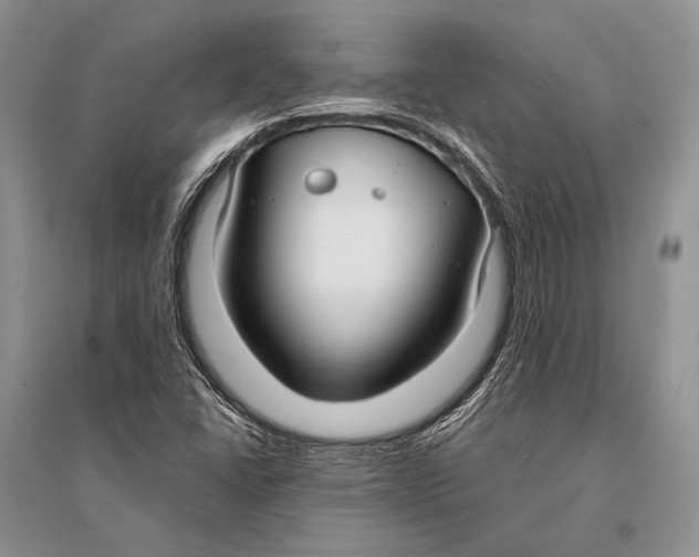 X0000094921406200712201209