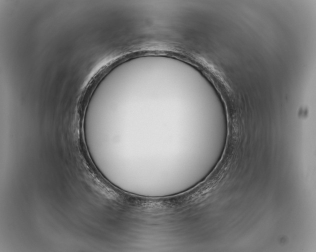 X0000094921408200712201210