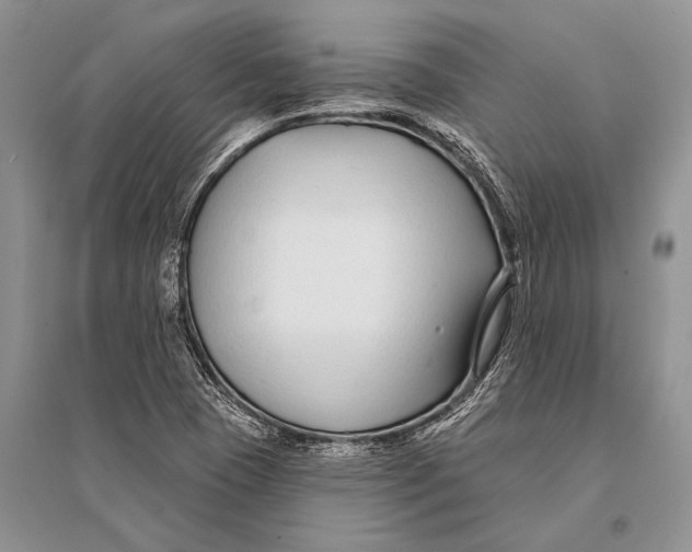 X0000094921409200712201210