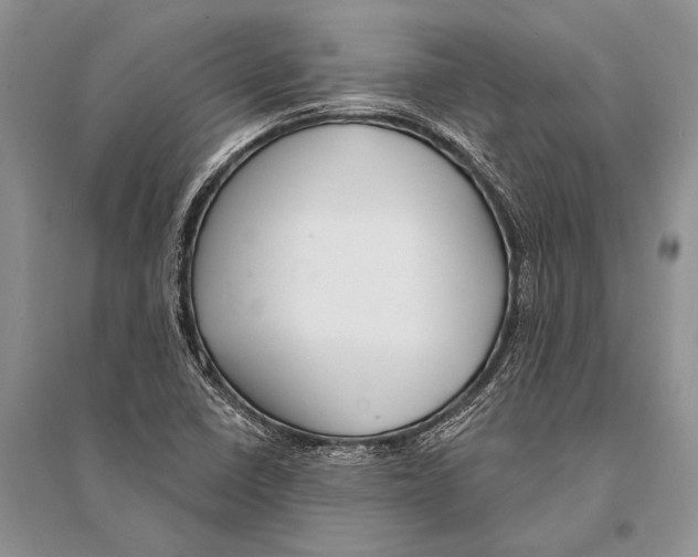 X0000094921410200712201210