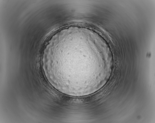 X0000094921411200712201210