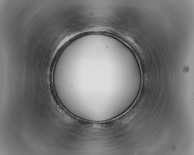 X0000094921412200712201210