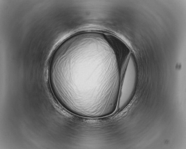 X0000094921413200712201210