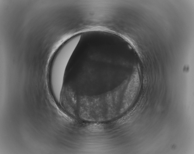 X0000094921414200712201210