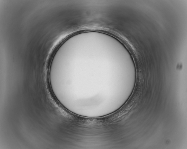 X0000094921416200712201210