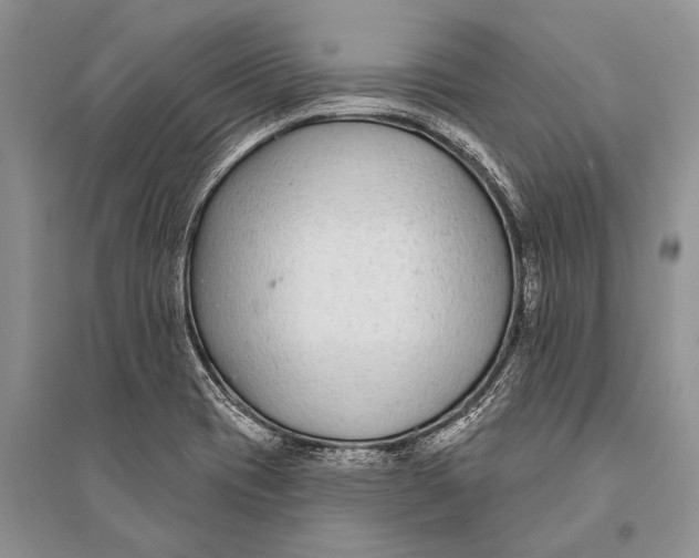 X0000094921417200712201210