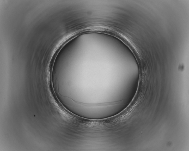 X0000094921418200712201210