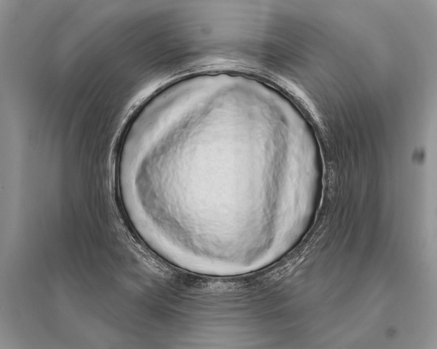 X0000094921419200712201210