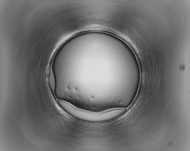 X0000094921421200712201210