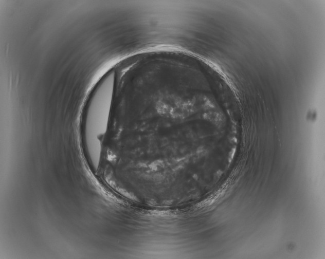 X0000094921422200712201210