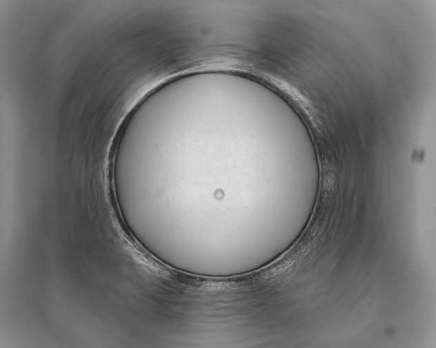 X0000094921423200712201210