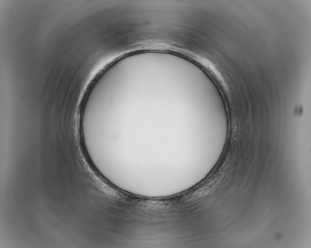 X0000094921424200712201210