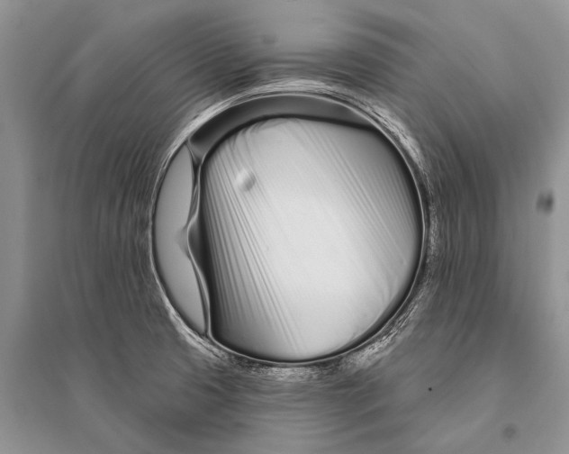 X0000094921425200712201210