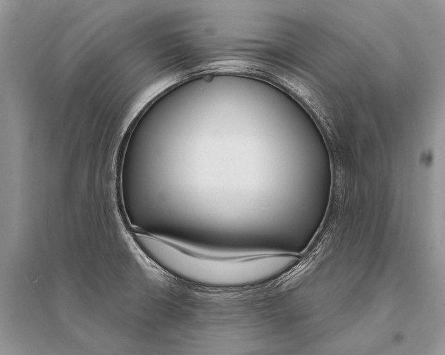 X0000094921426200712201210