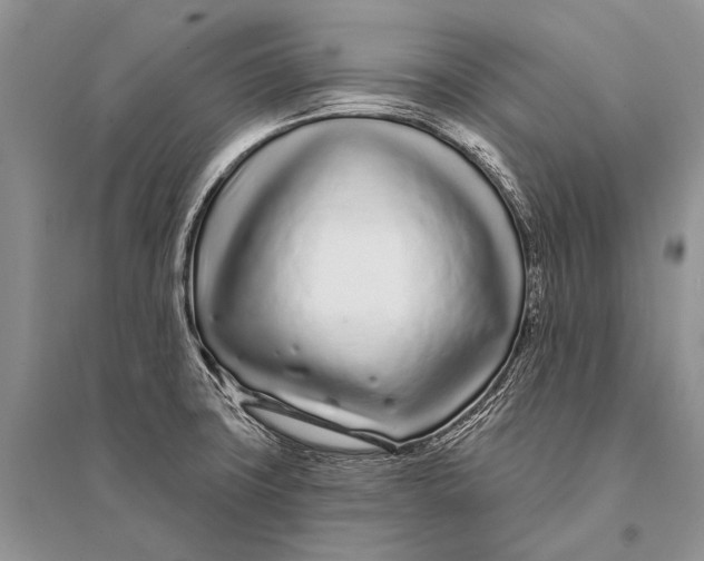 X0000094921427200712201210