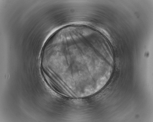 X0000094921428200712201210