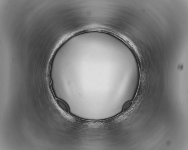 X0000094921429200712201210