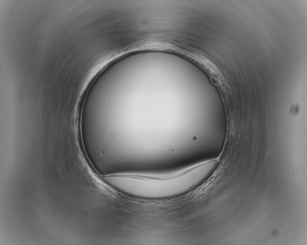 X0000094921430200712201210