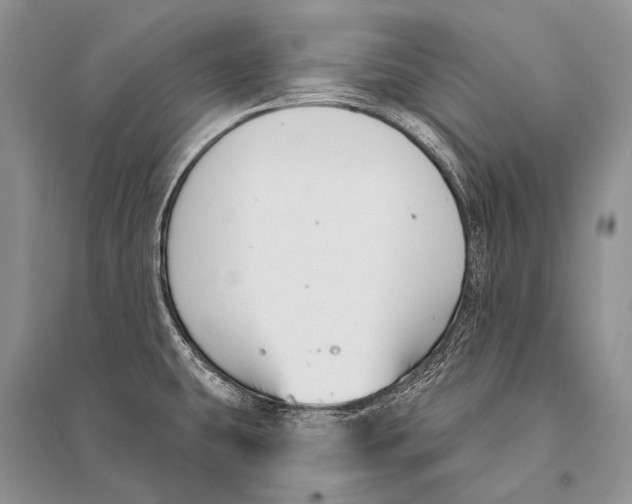 X0000094921431200712201210